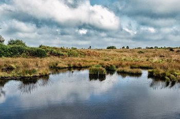 Moor Fotolia hagenvontroja